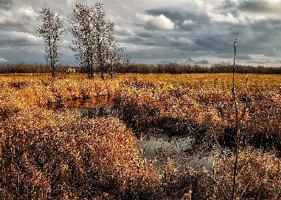Scenic & Landscape Photography