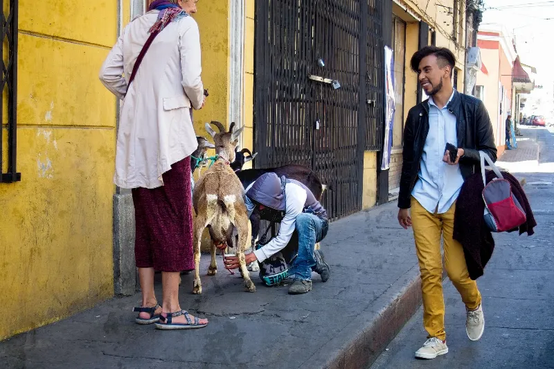 Street photography in Xela