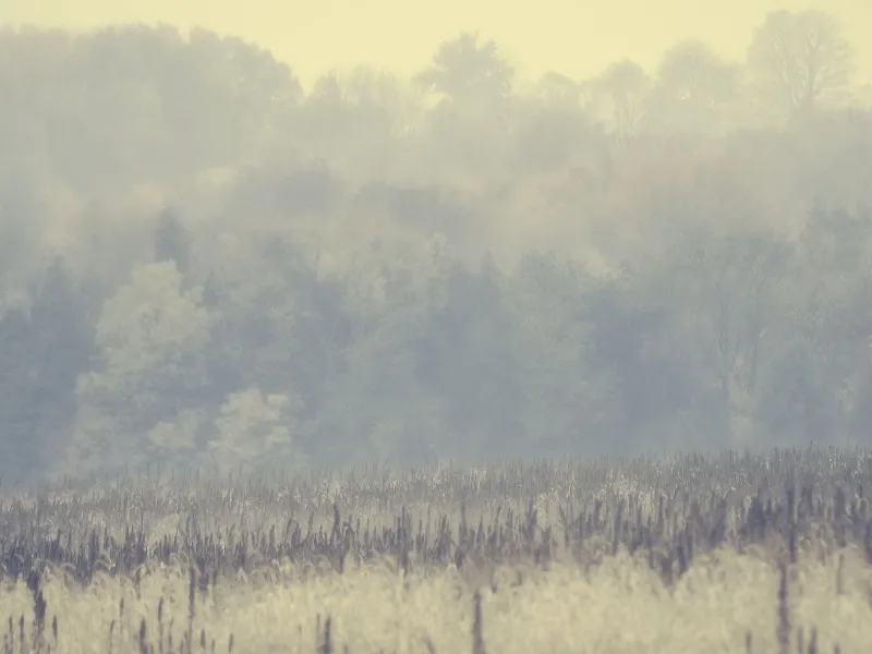 Scenic photography in Bannockburn, Ontario