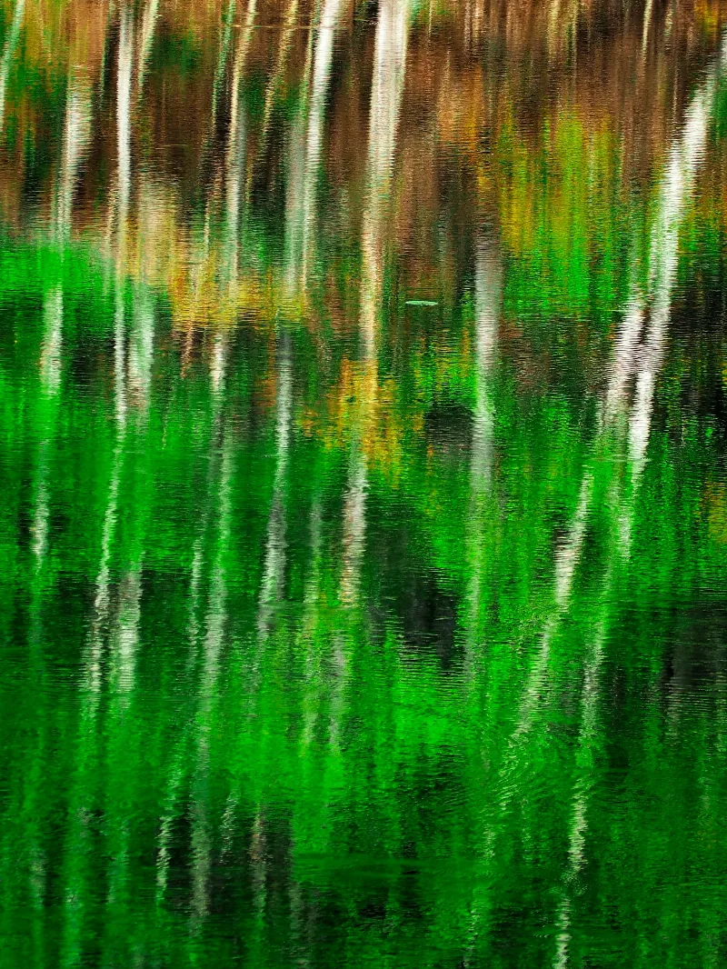 Scenic photography in Benmiller, Ontaro