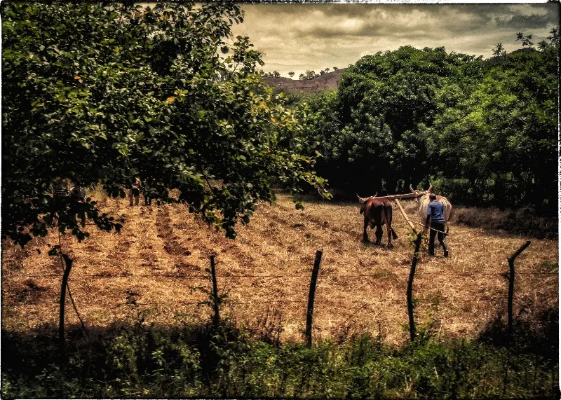 Scenic Landscapes photography in Granada