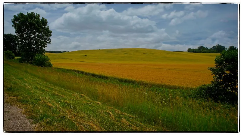 Scenic Landscapes photography in Benmiller, Ontario