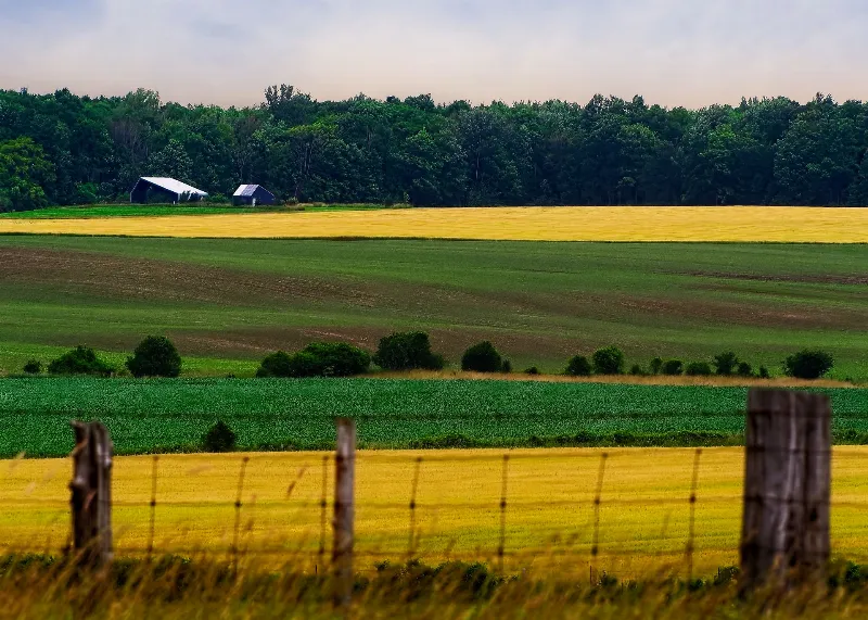 Scenic Landscapes photography in Benmiller, Ontario