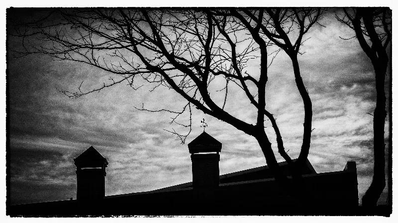 Abstract And Artistic photography in Stratford, Ontario