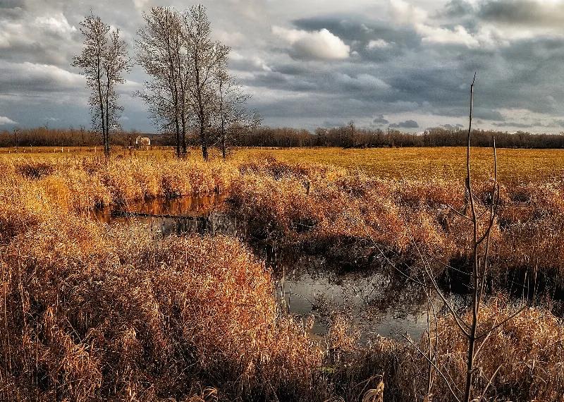 Scenic And Landscape photography in Wiarton, Ontario