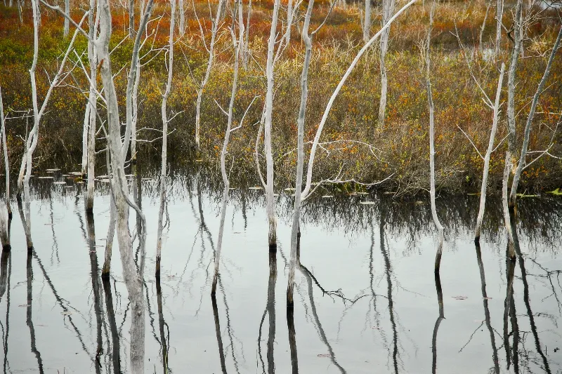 Scenic And Landscape photography in Wiarton, Ontario