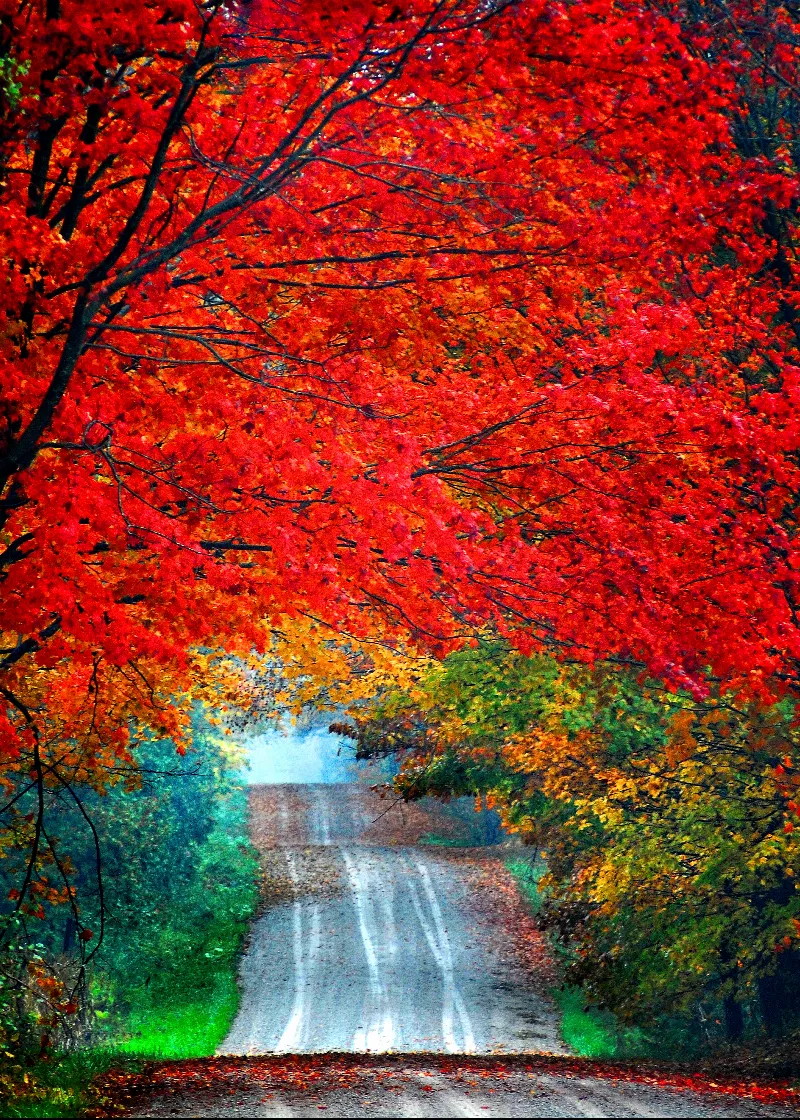 Scenic And Landscape photography in Bannockburn, Ontario