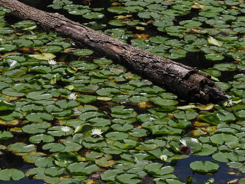 Scenic And Landscape photography in Little Lakes, Ontario