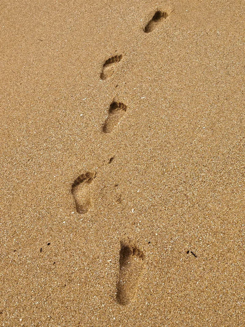 Surf Sea And Sand photography in Cahuita