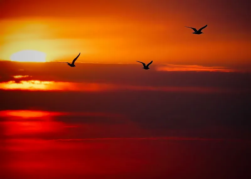 Celestial photography in TBD