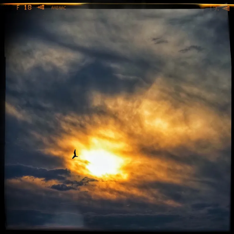 Celestial photography in Ontario