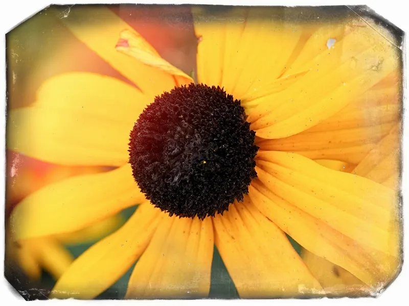 Abstract And Artistic photography in Ontario