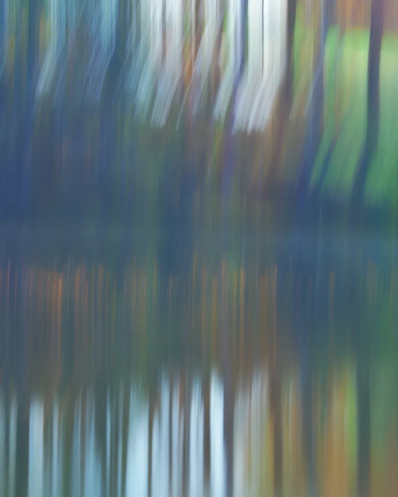 Recent Abstract & Artistic upload