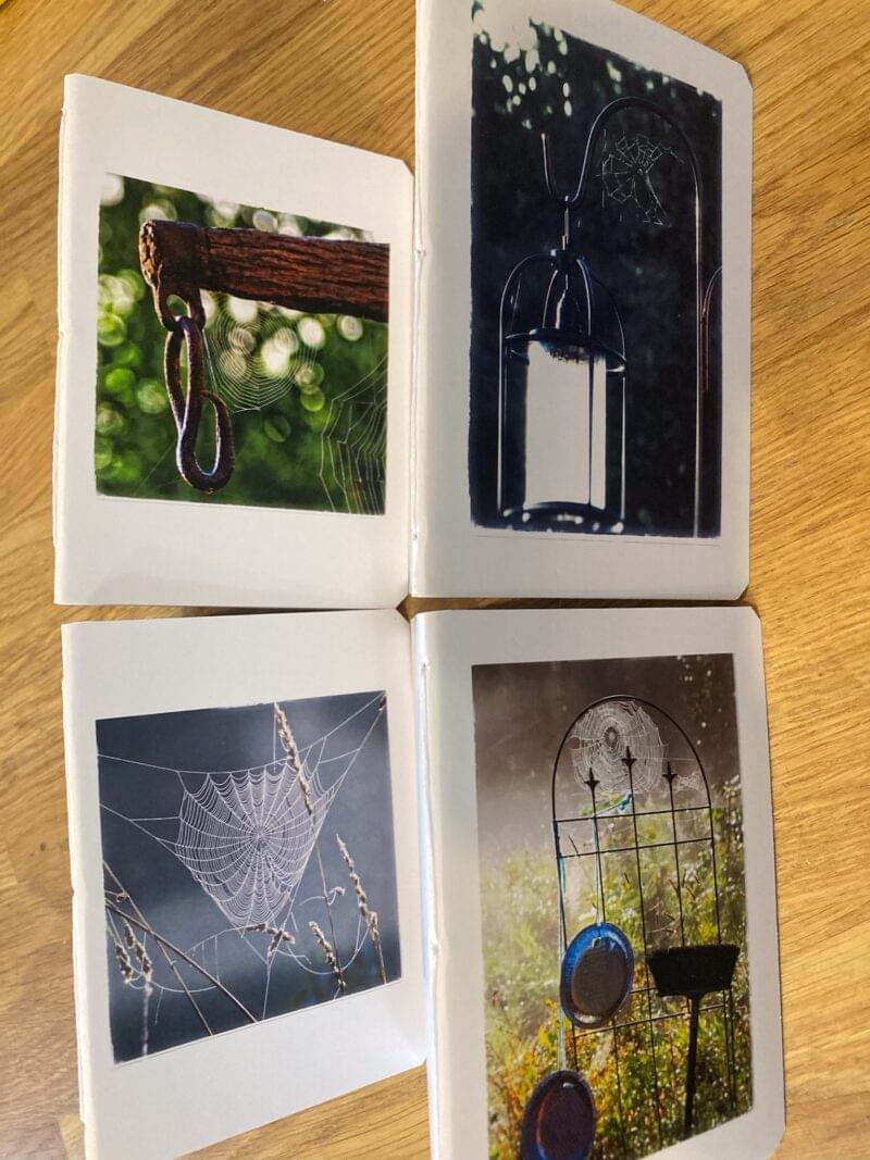 WILD WILD WEB Collection