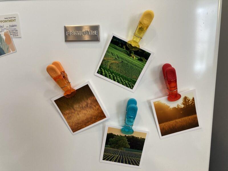 Rural Harmony - Image 2