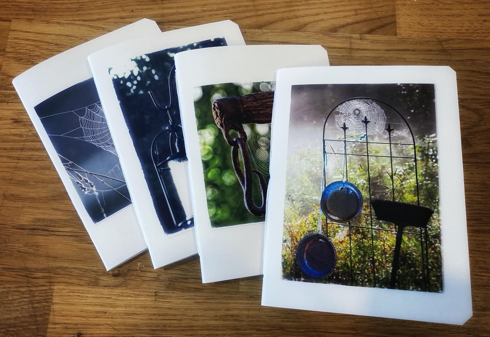 WILD WILD WEB Collection - Image 2