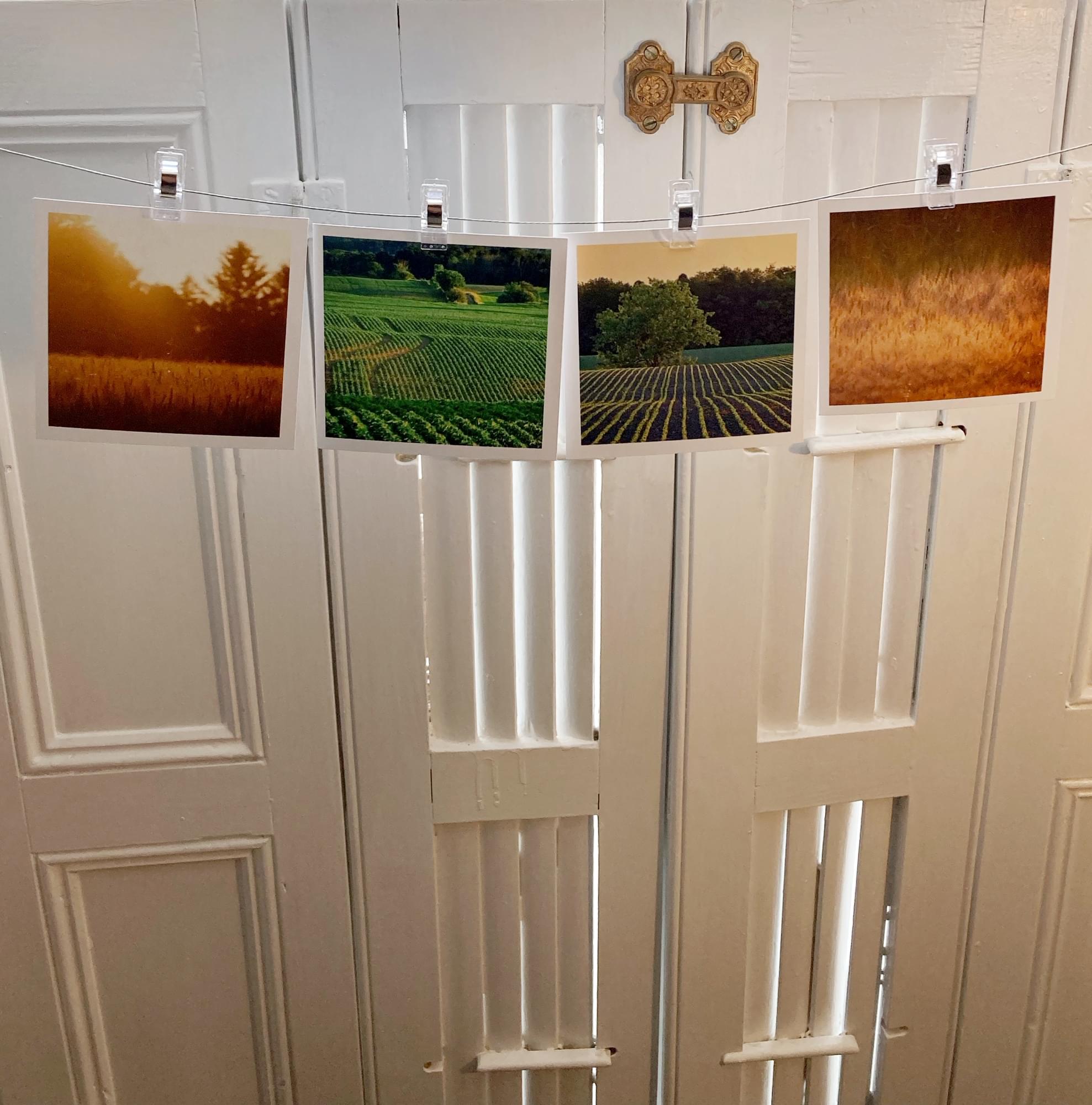 Rural Harmony - Image 4