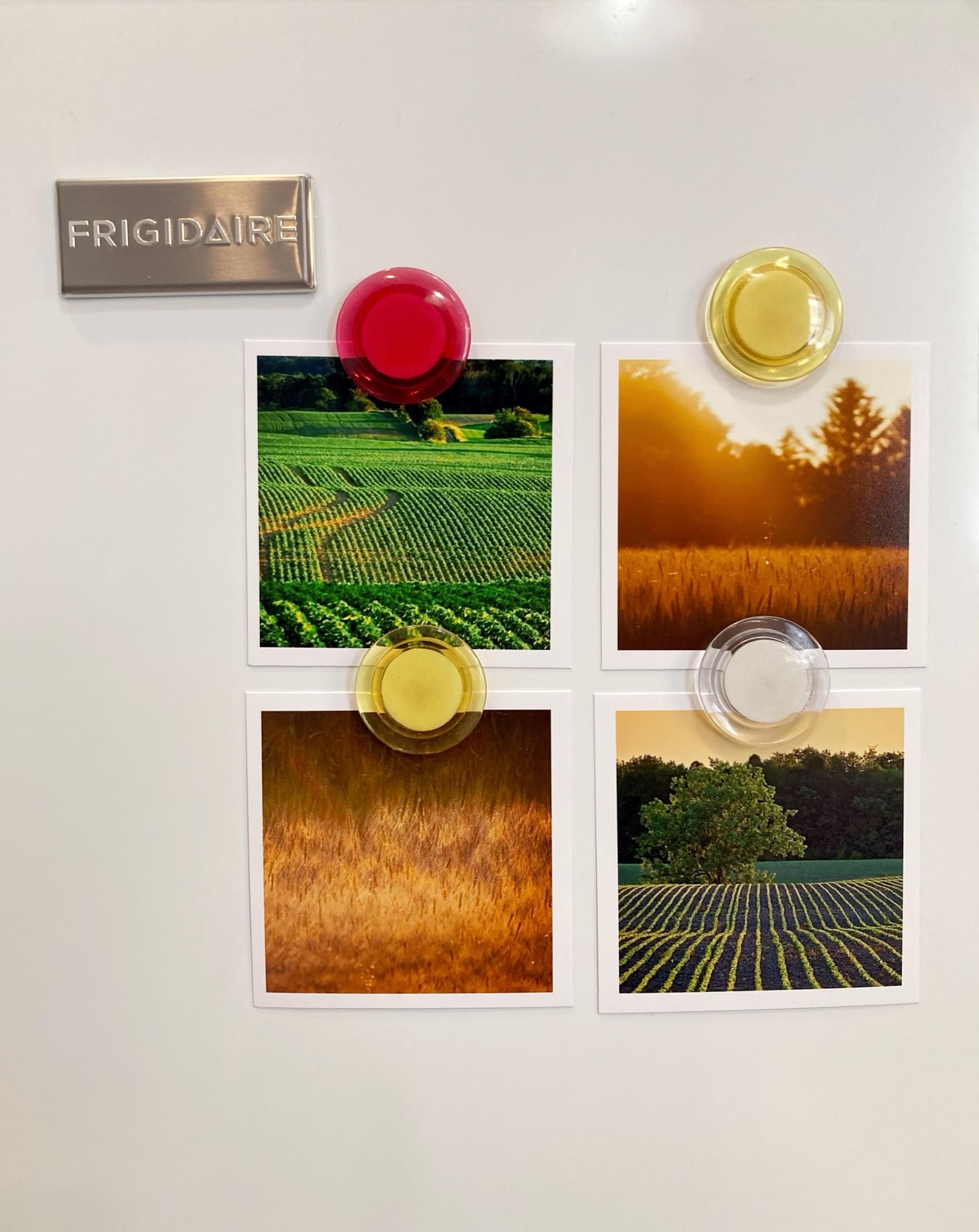 Rural Harmony - Image 3